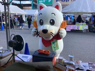 20251115_はっしー