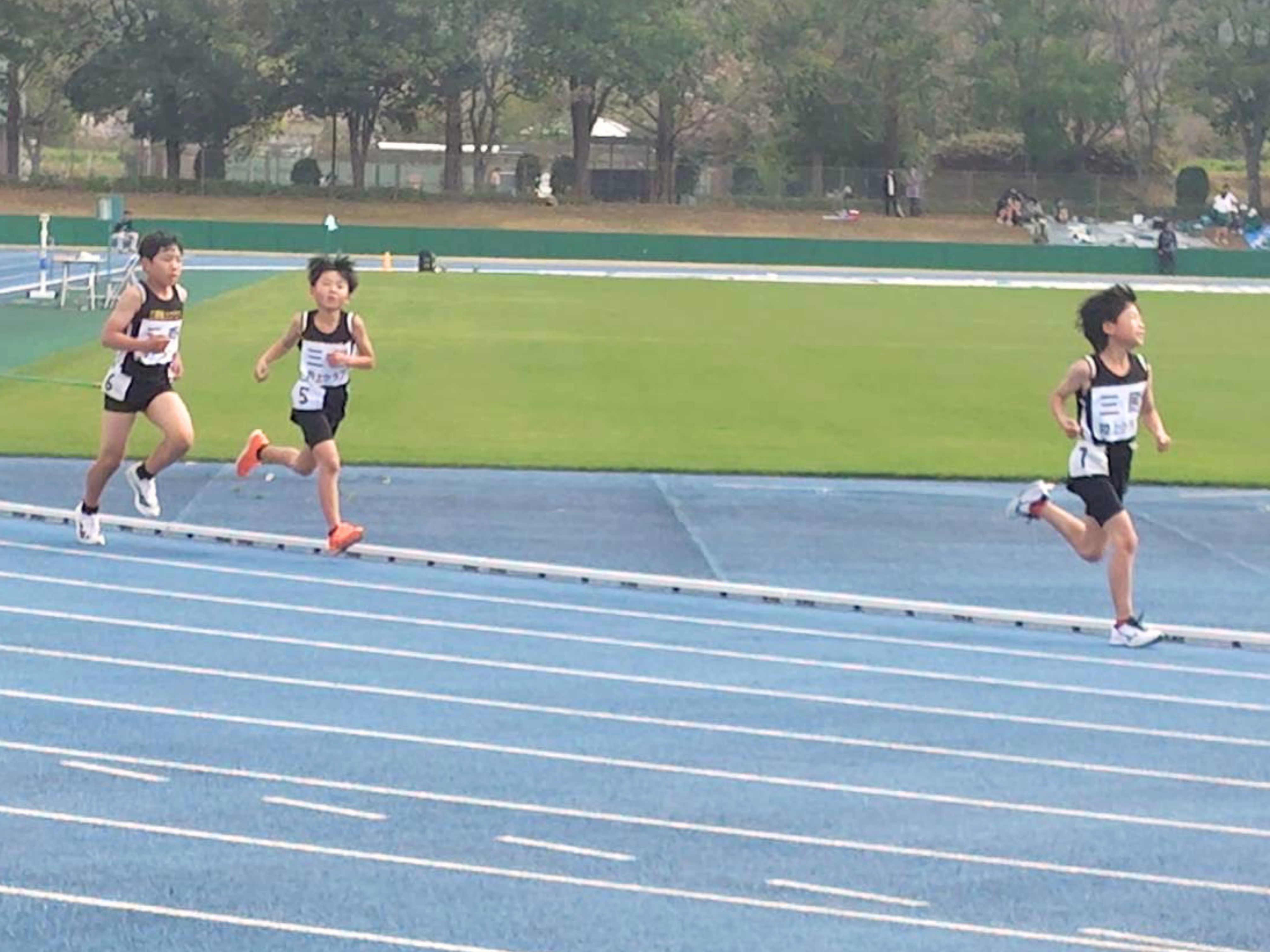 男子800m