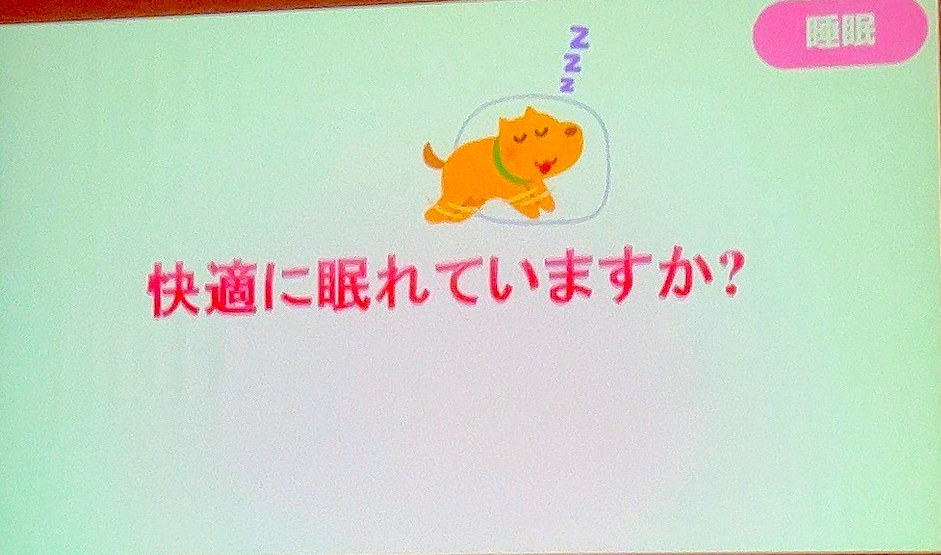 09快適な眠り