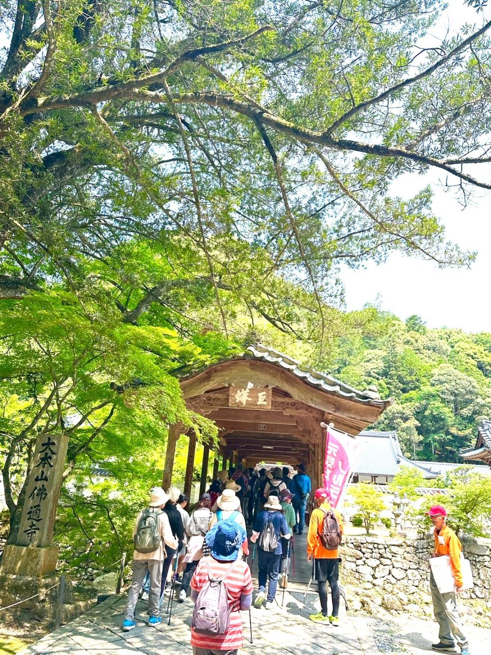 ②ノルディ 本山入口